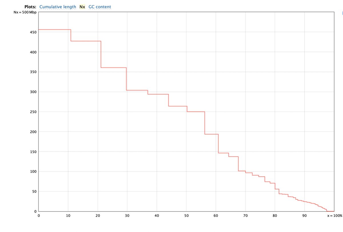 GiessenSingh's tweet photo. It's not every day you see an N(x) plot like that. @PacBio  CCS assembly of a diploid Trirticea species with a contig  N50 263 Mb😎. Thanks, @KeyGeneInfo @AW_NGS for the Hifi data. #longread #Bioinformatics https://t.co/ePXJ9TfCSR