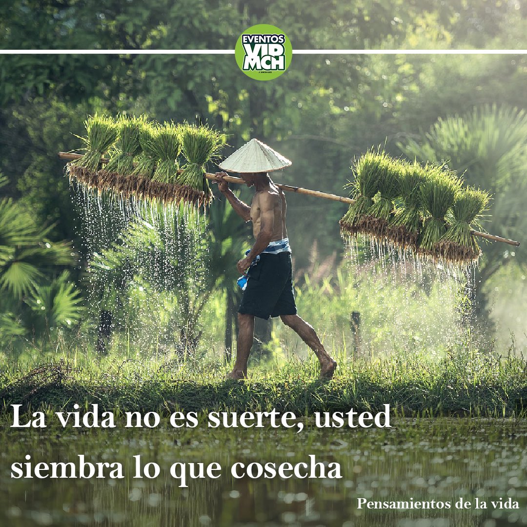 eventosvipmch's tweet photo. Feliz inicio de semana!
.
.
.
#felizlunes #lunesdemotivacion #eventosvipmch https://t.co/R59TgI2fLk