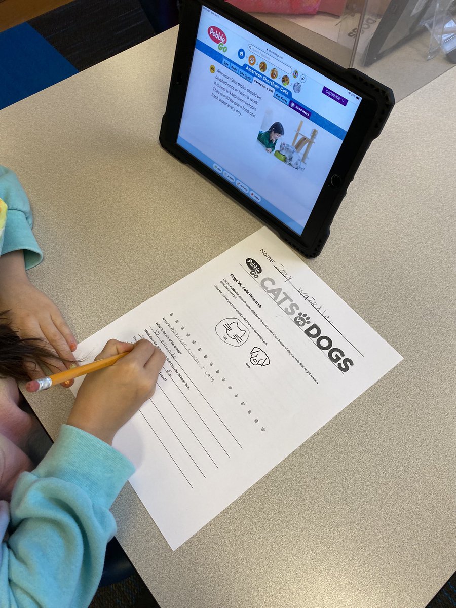 mrs_rubeck's tweet photo. 3rd grade started researching for #PebbleGoCatsVsDogs. Who will get the most votes? @BOEwarriors @WCPS_LMS @CapstonePub #BOEMedia #wcpsmd https://t.co/RMfS8mEHqa