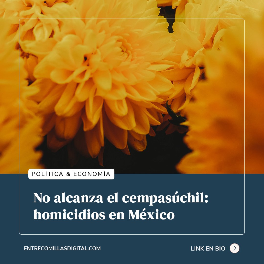 entrecomdigital's tweet photo. La #violencia que deriva en #homicidios en #México ha llegado a tal punto que vale la pena preguntarse si para este #DíadeMuertos el #cempasúchil será suficiente.

Por: Xavier Fregoso

ARTÍCULO ⬇️
https://t.co/cAVlBXvHPZ

#entrecomillas #homicidiosmexico #violenciamexico https://t.co/OLKdeDOdZc