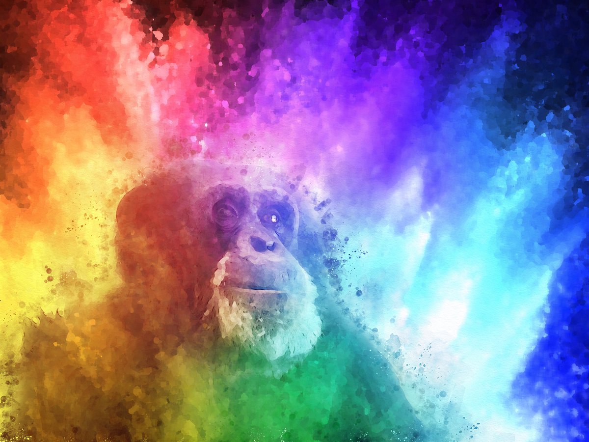 🙉Couldn't help but get this colorful piece of art!🌈
Go get your own #InfiniteChimp and know that all profits go directly to <a href="/ChimpSanctuary/">Chimpanzee Sanctuary Northwest</a> 🎉

#DFINITY #ICP #NFT #CHARITY