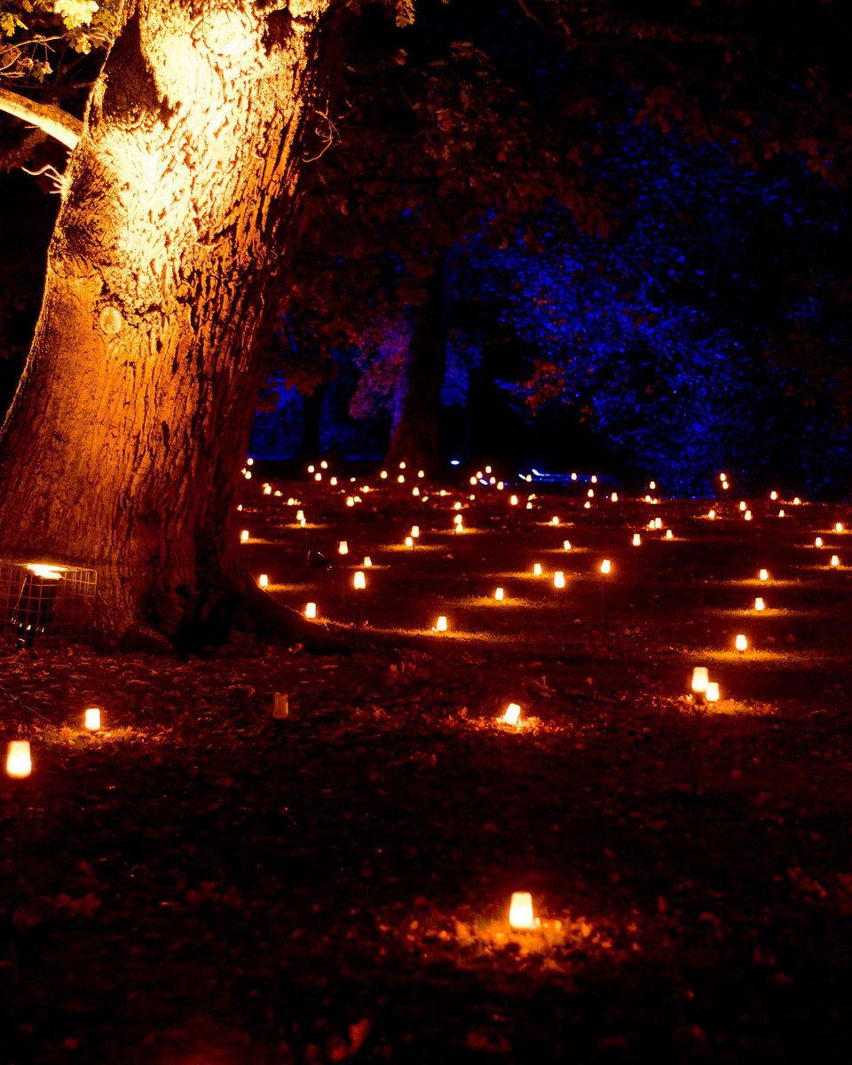 clairetes's tweet photo. Halloween at #Blenhimpalace https://t.co/lAOsUx3lY0