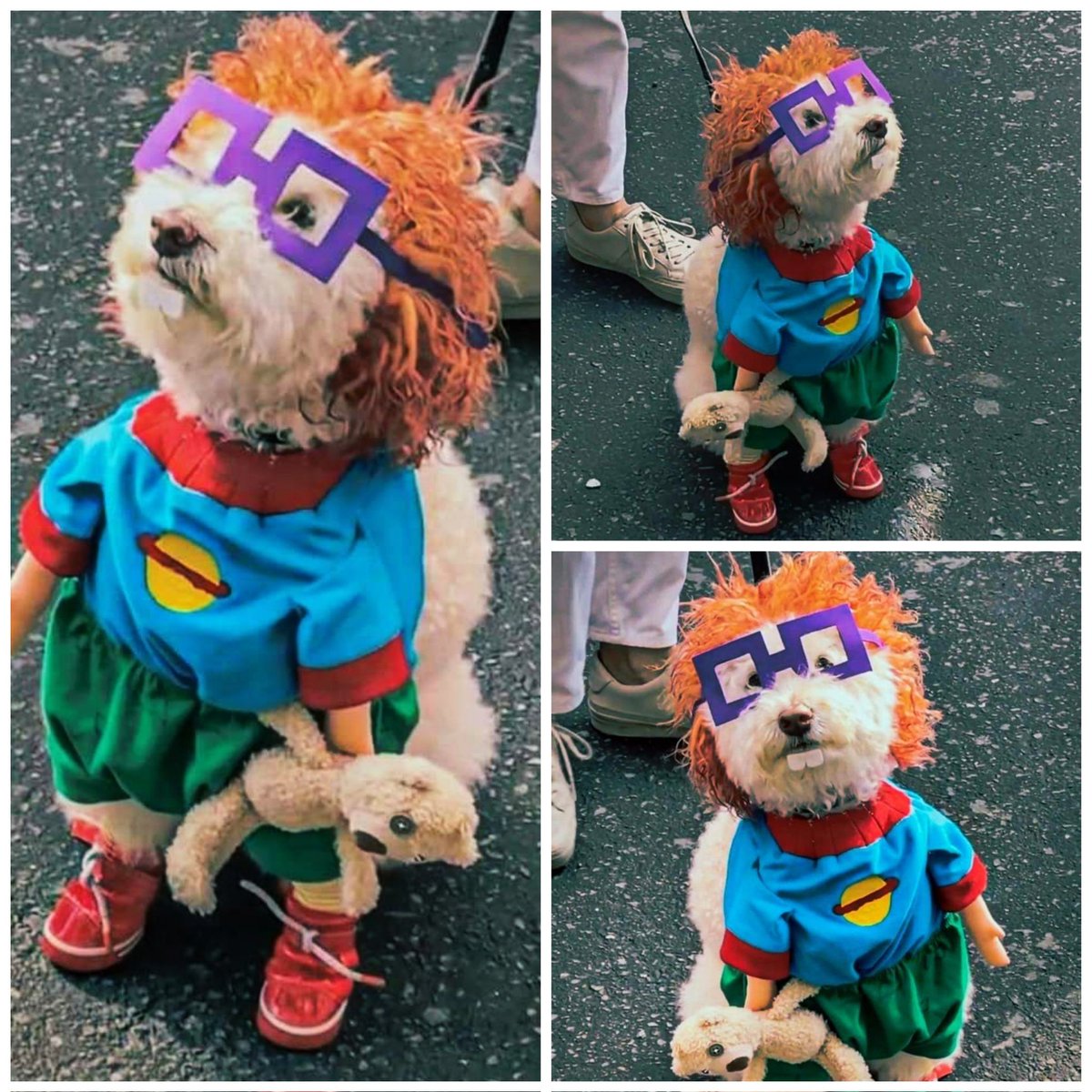 80s_y_90s's tweet photo. Paren todo, encontramos al ganador del mejor disfraz de este año. 🐶 https://t.co/Xp5hslroCO