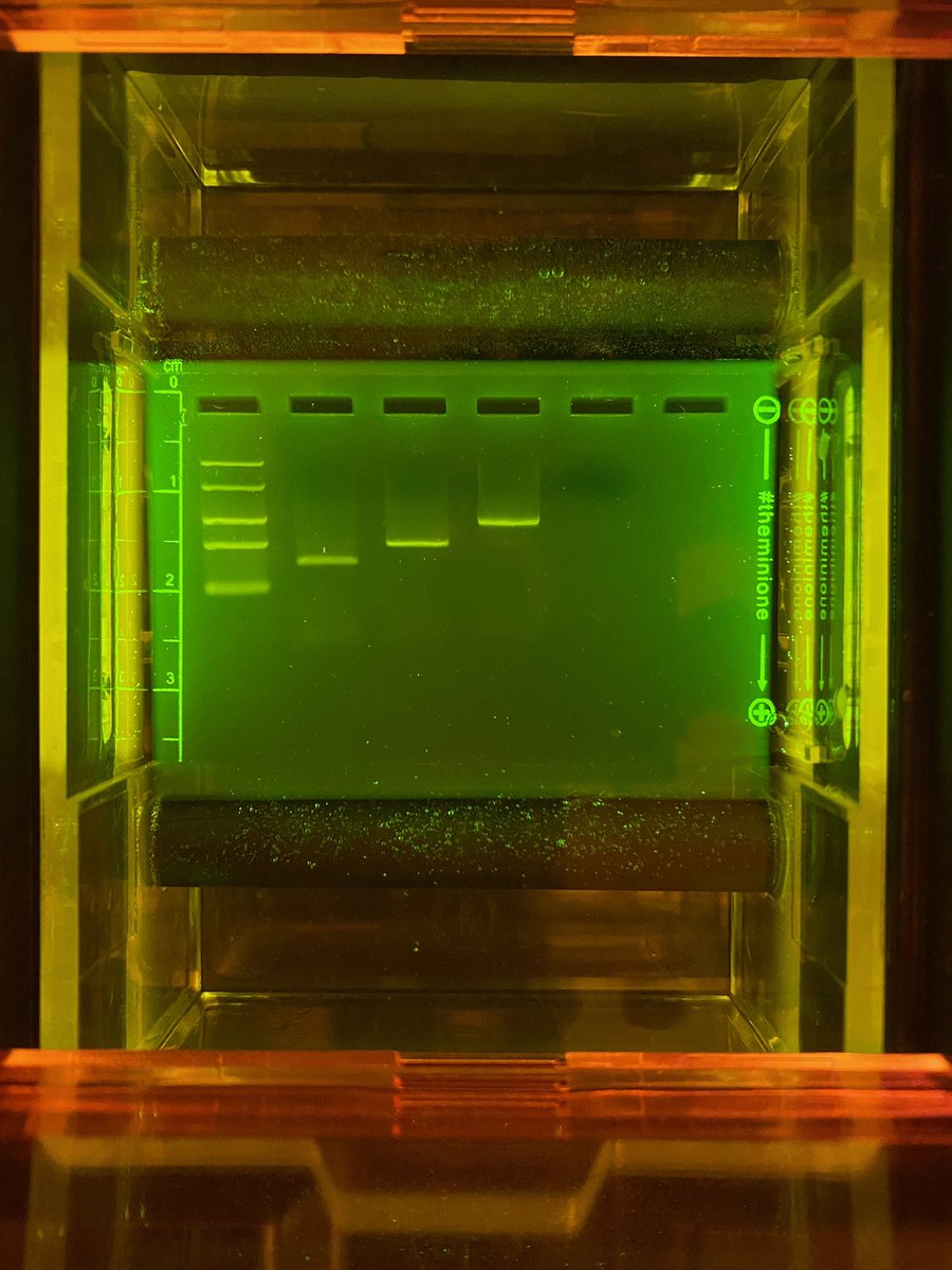 DrWhitneyHolden's tweet photo. #AdvancedBioPlus veteran teachers share results of PCR and electrophoresis by their students at Dawson Co-op’s “Phage Day” presented by OBU Professional Development. #cellbioed https://t.co/9vgj2ea0td