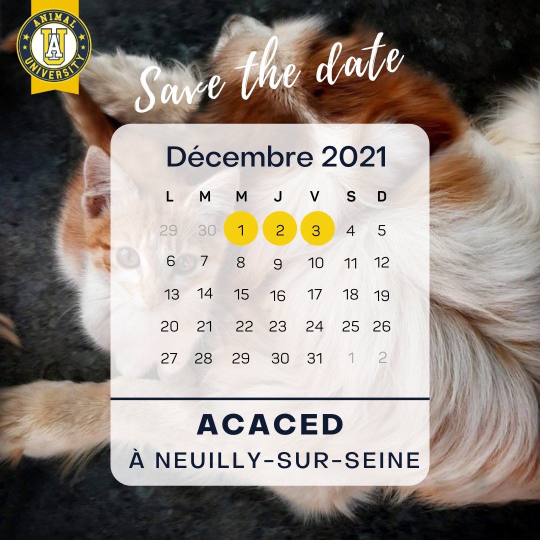 AnimalUniv's tweet photo. Vous souhaitez travailler avec des animaux de compagnie ? 🐶🐱

L'ACACED est un diplôme indispensable ! 

👉Notre prochaine session aura lieu dans un mois à Neuilly, et la formation est finançable CPF, Pôle Emploi.

#animaluniversity #acaced https://t.co/X1wTlE7UKv
