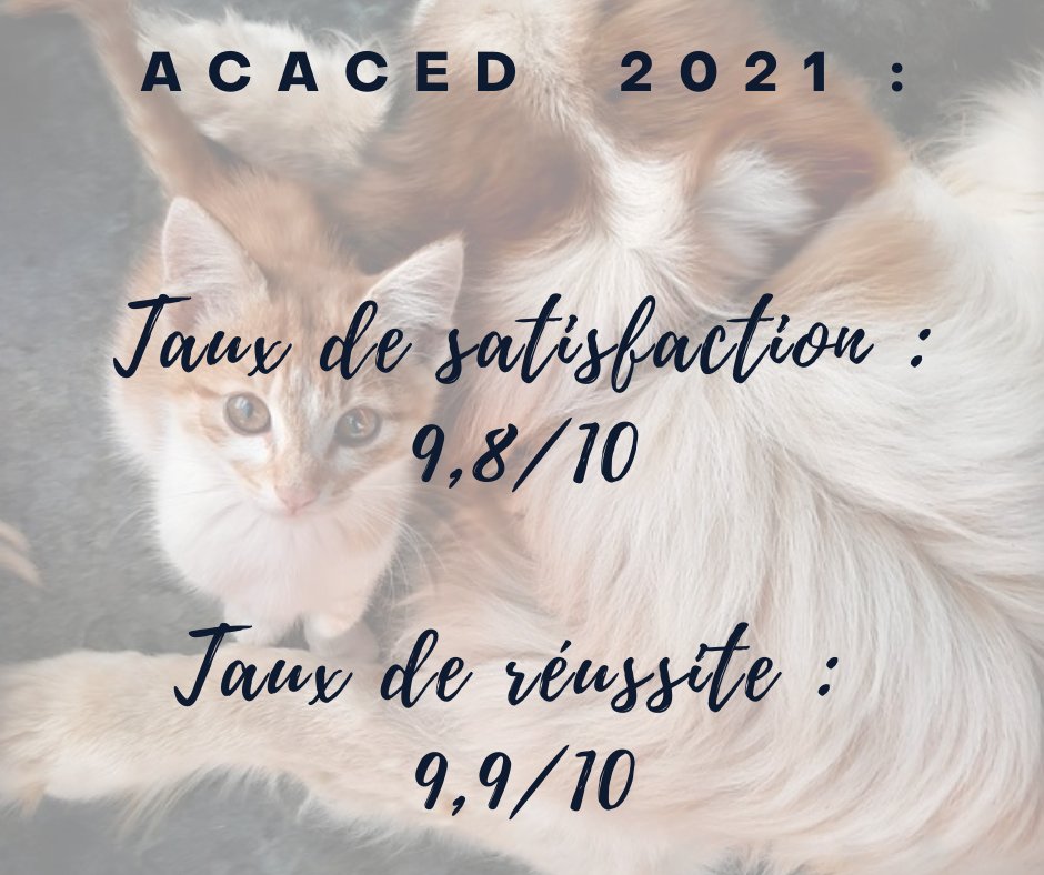 AnimalUniv's tweet photo. Vous souhaitez travailler avec des animaux de compagnie ? 🐶🐱

L'ACACED est un diplôme indispensable ! 

👉Notre prochaine session aura lieu dans un mois à Neuilly, et la formation est finançable CPF, Pôle Emploi.

#animaluniversity #acaced https://t.co/X1wTlE7UKv