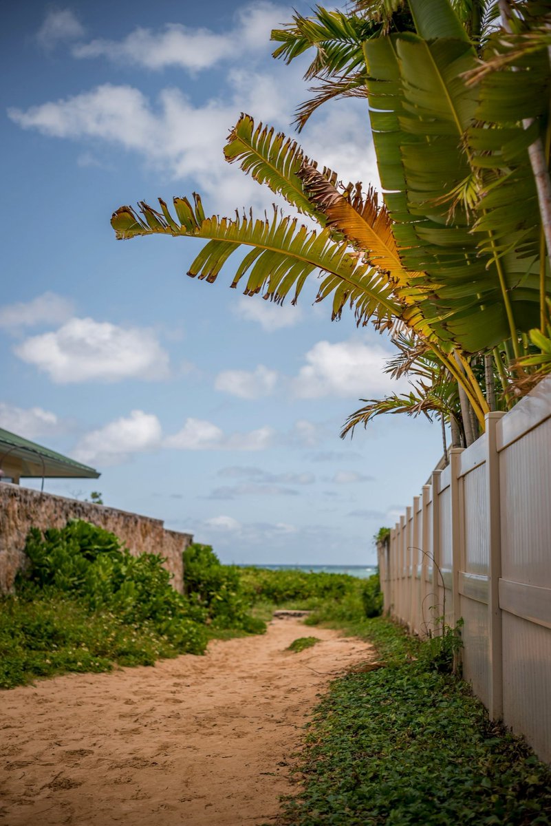 thriving_items's tweet photo. 📍Oahu, Hawaii https://t.co/tBOt1wgi5b