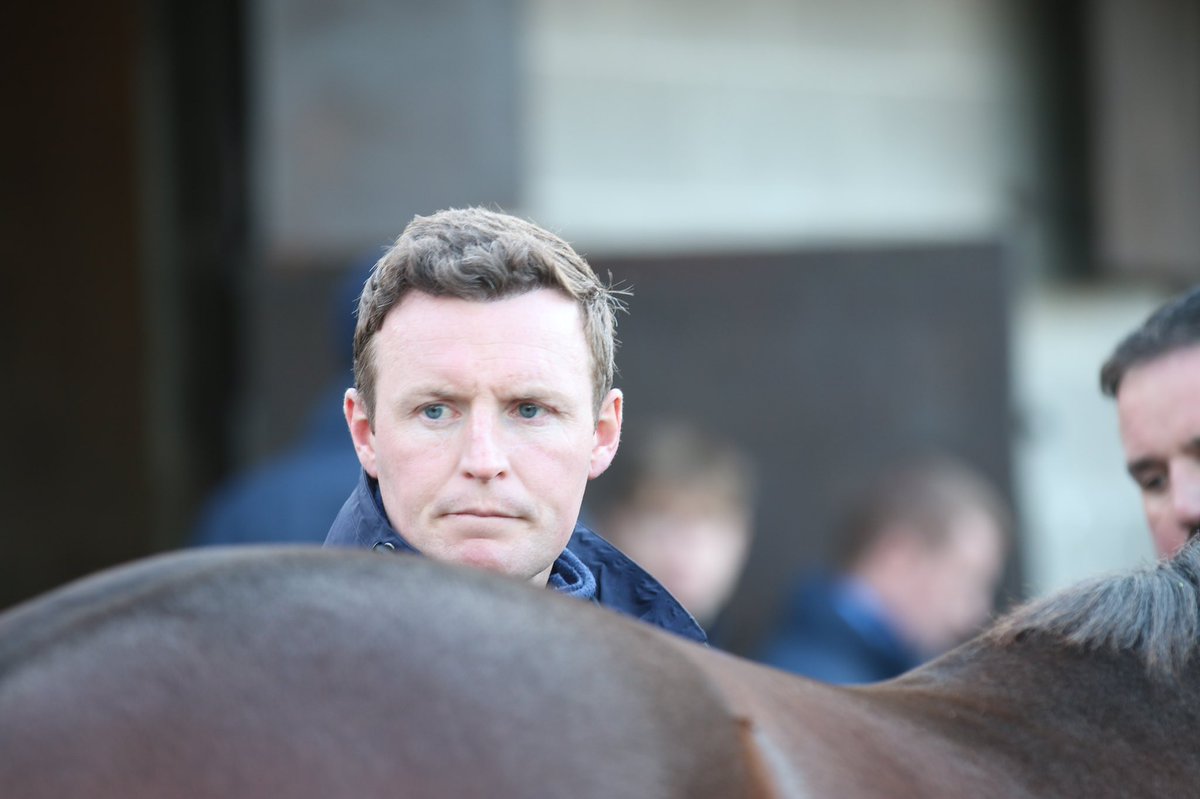 Goffs1866's tweet photo. 3yo Silaiyli from the @AgaKhanStuds draft went the way of Ibrahim Al Malki/ @JSBLOODSTOCK for €56,000 🤝
#GoffsAutumnHIT
#PackedWithPotential https://t.co/18GIYhBXWh