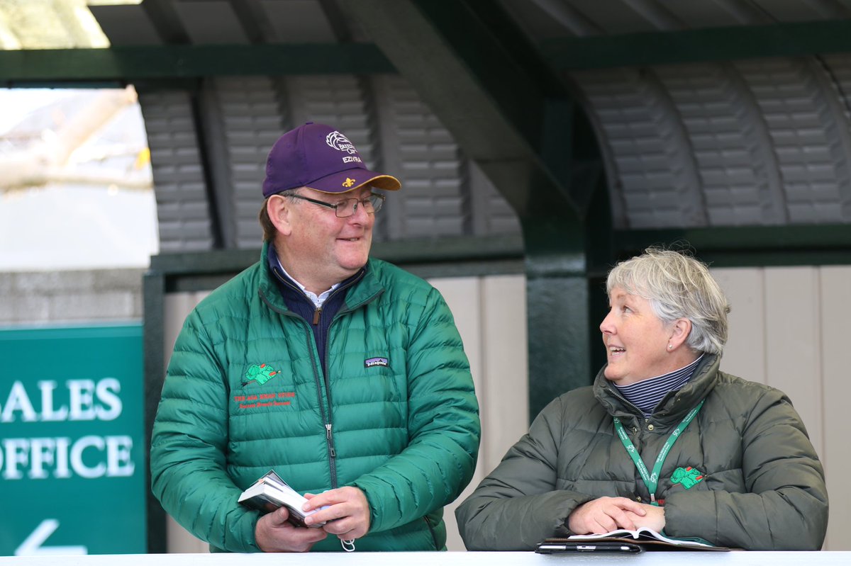 Goffs1866's tweet photo. 3yo Silaiyli from the @AgaKhanStuds draft went the way of Ibrahim Al Malki/ @JSBLOODSTOCK for €56,000 🤝
#GoffsAutumnHIT
#PackedWithPotential https://t.co/18GIYhBXWh