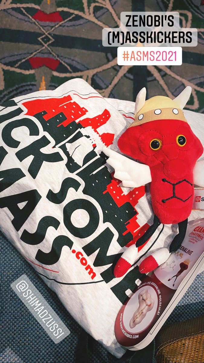 AdamPruska's tweet photo. Very cool first poster session and Shimadzu gifts! #IonMobility #StructuralBiology #NativeMassSpec #KickSomeMass #ASMS2021 https://t.co/zWwv0Xhyqf