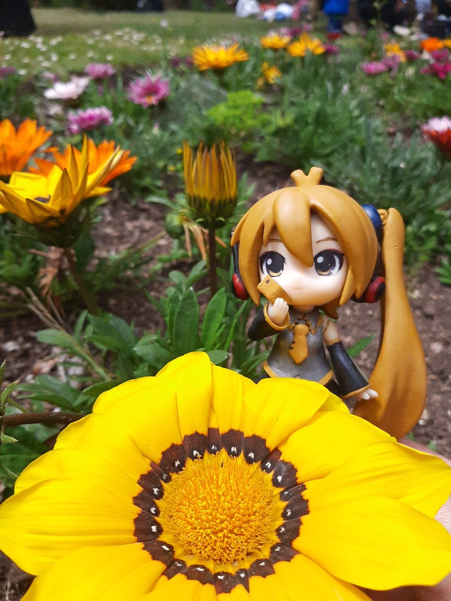 nerurin14's tweet photo. Siguiendo con el especial de cumpleaños de Neru 💛💛💛💛
#亞北ネル誕生祭2021
#亞北ネル 
#akitaneru
#Neru https://t.co/nZiwinRDHE