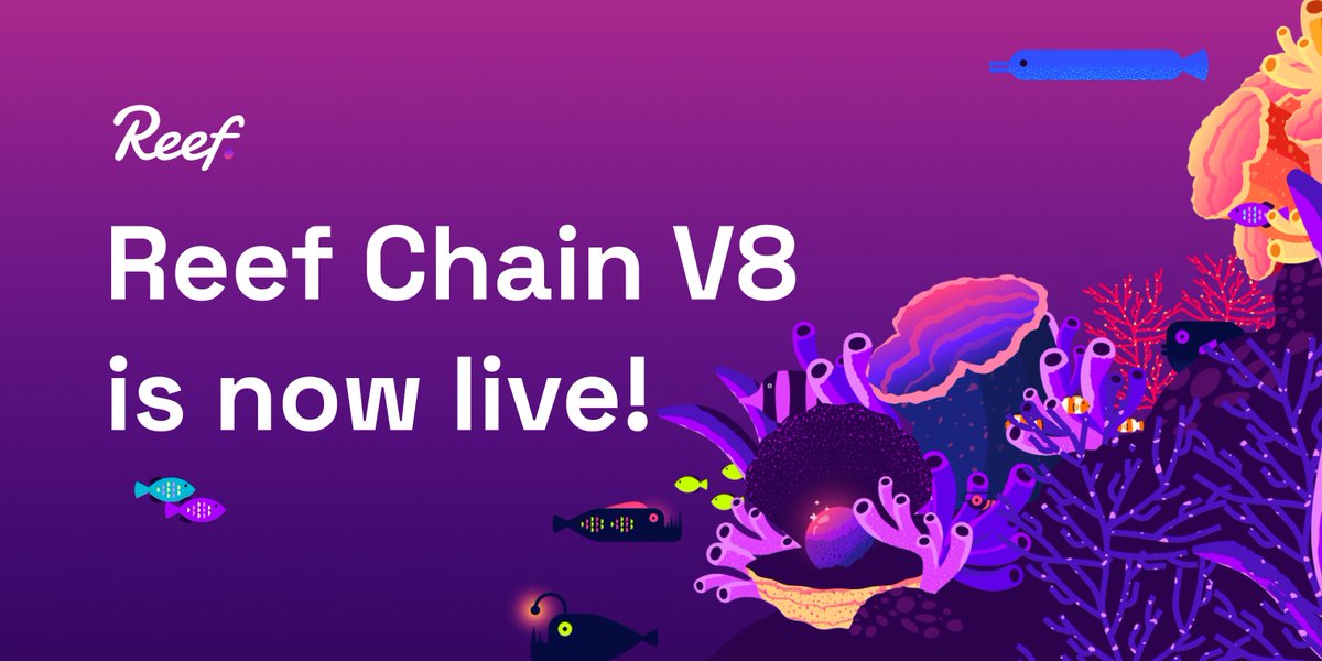 🐠 Reef tweet media