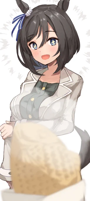 エイシンフラッシュ 