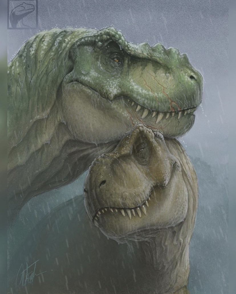 thejurassicmag's tweet photo. Paleoart by the incredibly talented Frederic Wierum. @FredtheDinoman
#jurassicworlddominion #dinosaurs #paleoart #theropod #facebiting #carnivores #violence #fight #battle #jurassic #animals #nature #brutal #dino #dinosaur #fossil #paleontology #jurassicpark #trex
🦖❤️🦕 https://t.co/Rlx3YTokD3