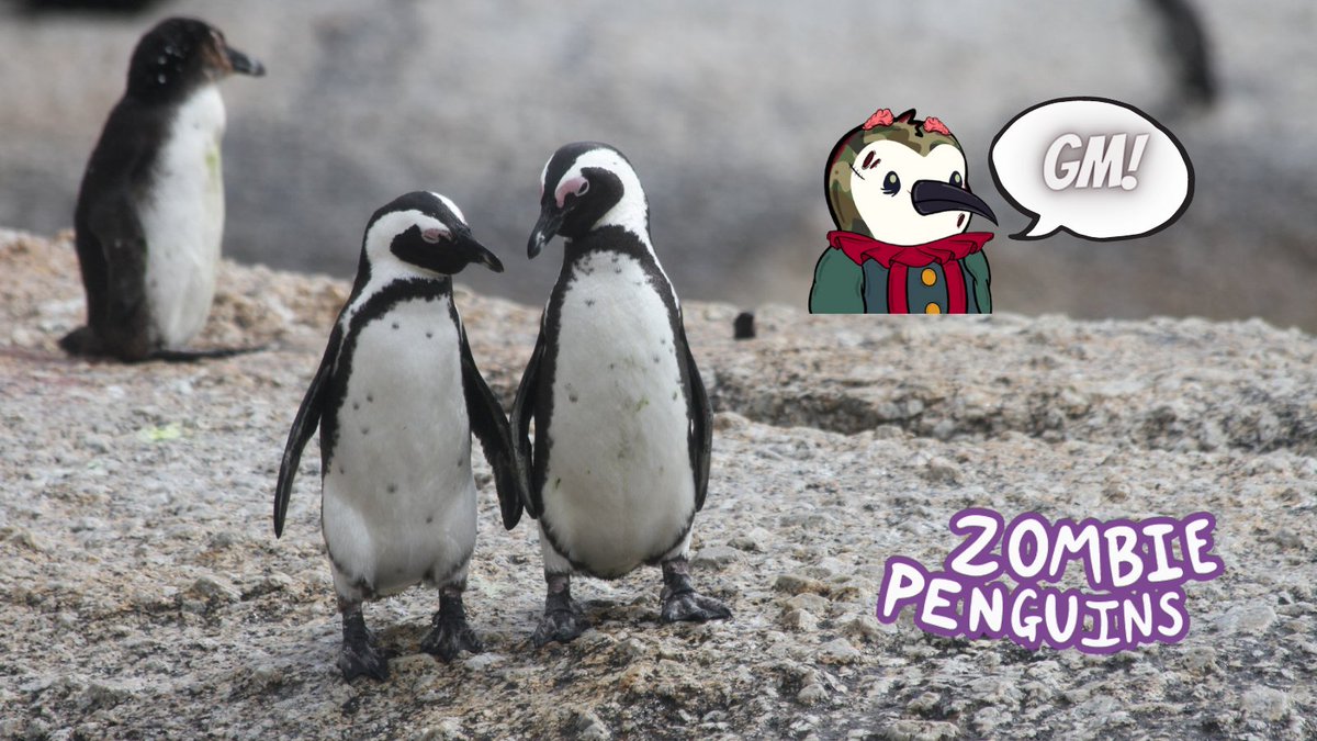 ZombiePenguins_'s tweet photo. gm! We say it back 👋​​ 👋 👋 #WIDMND https://t.co/gGHhzYfTyw