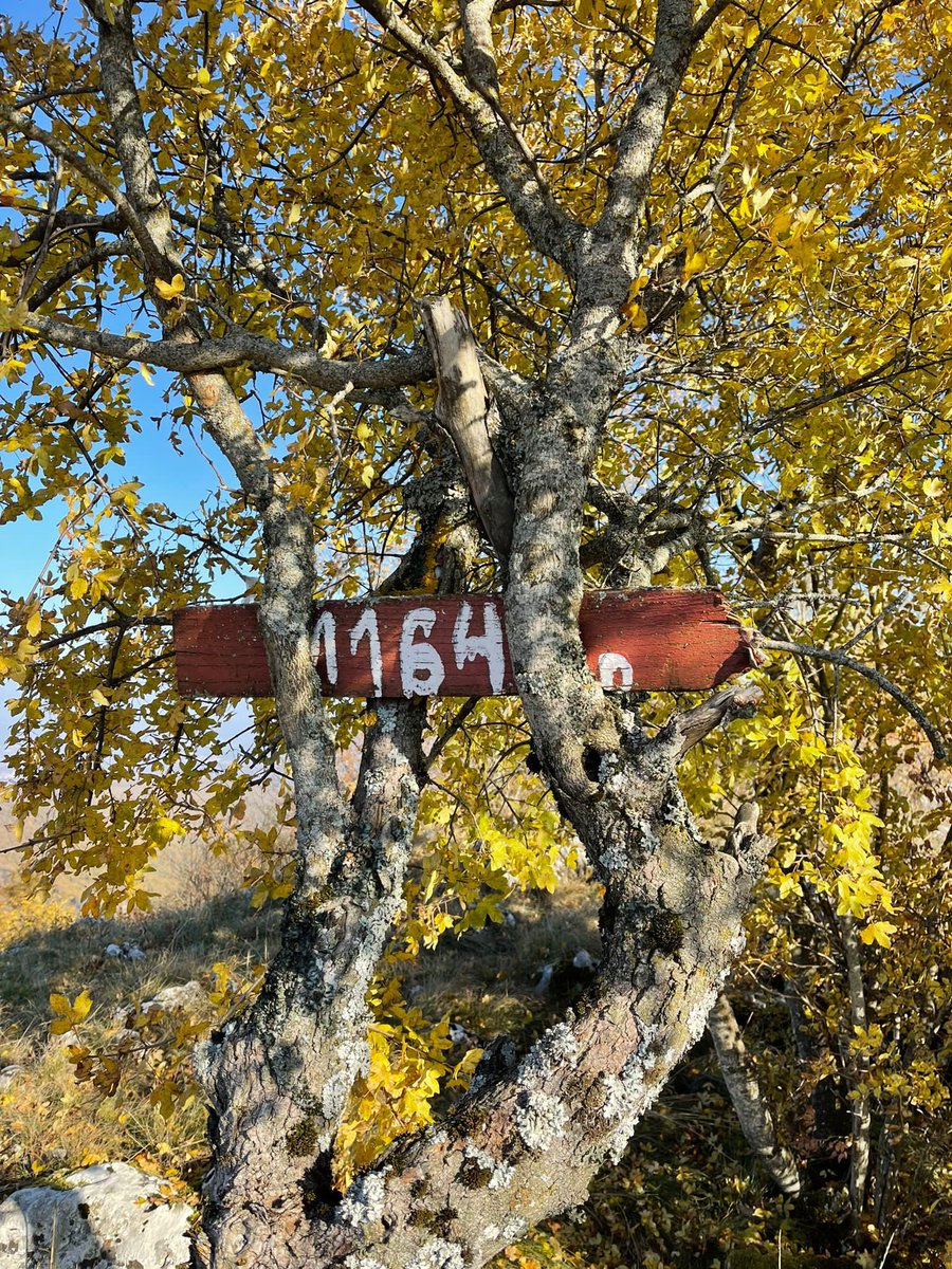 arifishqiprim's tweet photo. Maja më e lartë në territorin e Komunës së Preshevës - Ostrovica 🏔
1164m lmd
#visitPresevo https://t.co/mIYLNMtnrj