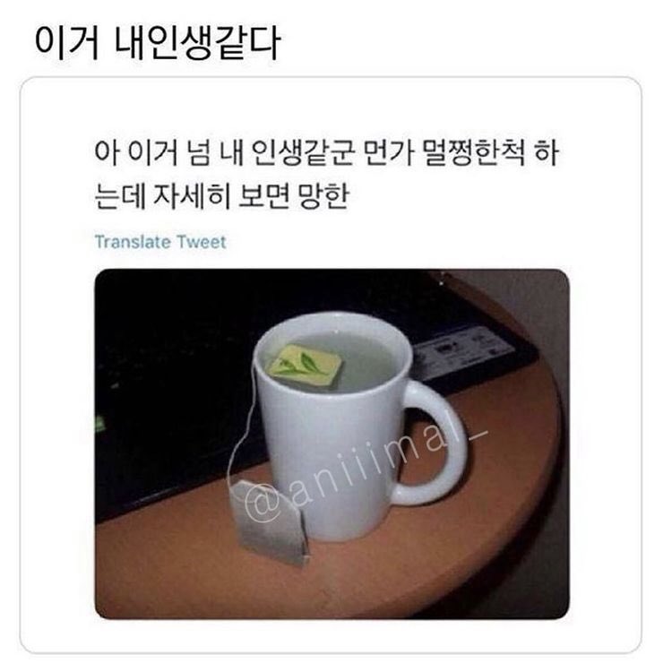 Seo27_'s tweet photo. 오메 다 맞는 말 …………… https://t.co/xfE73ZRe3t
