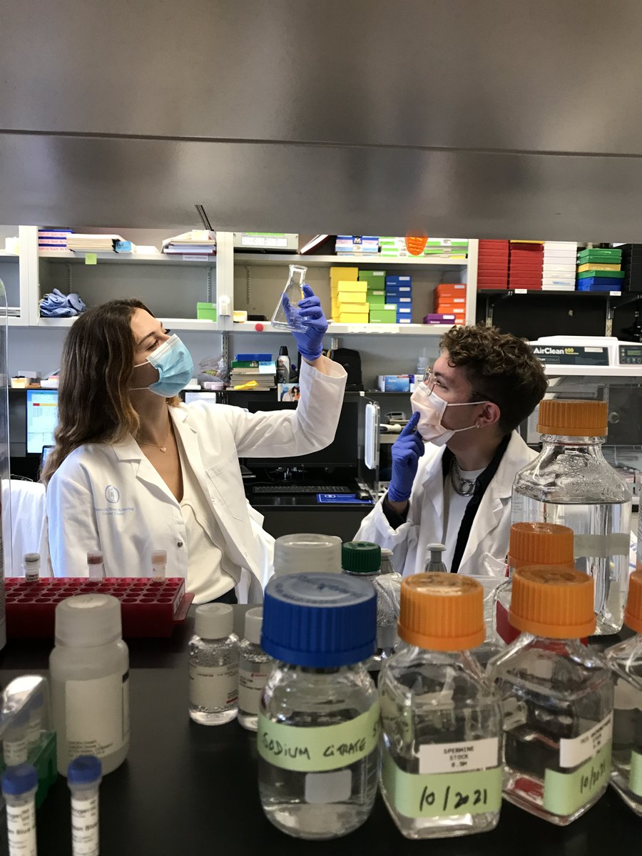 TeamOvary_MSK's tweet photo. ⭐️Meet the Team Monday⭐️
This week we’d like to feature @EttaHanlon &amp; @transbiologist, two invaluable researchers in Dr. Weigelt’s lab🧑‍🔬. They are working with 
@AaronPraissMD and @DmitriyZamarin studying the effect that surgical stress has on ovarian cancer. Strong work! https://t.co/B1I06VzymO