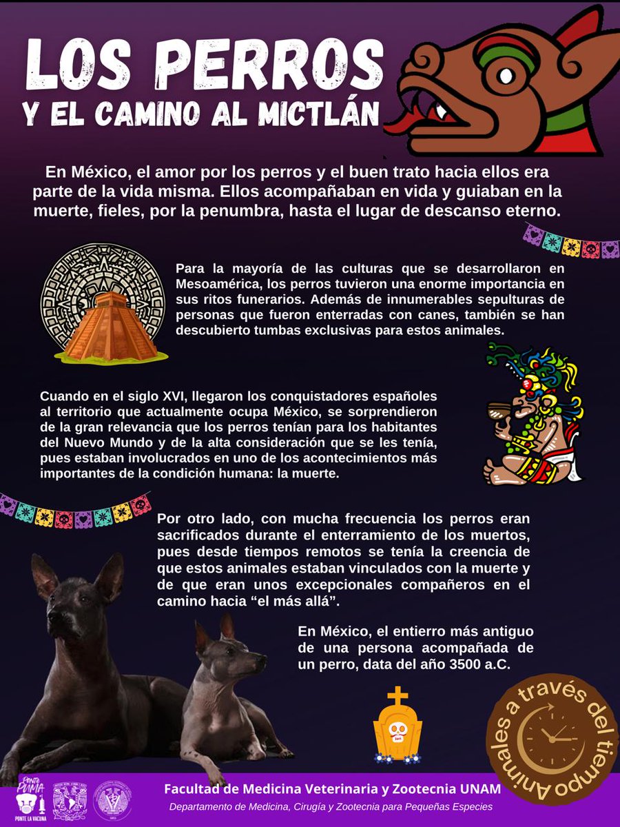 compresión Correspondiente limpiador FMVZ UNAM on Twitter: "¿Cuál es la historia de los perros y el camino al  mictlán? #AnimalesATravésDelTiempo https://t.co/EXlab7FbwD" / Twitter