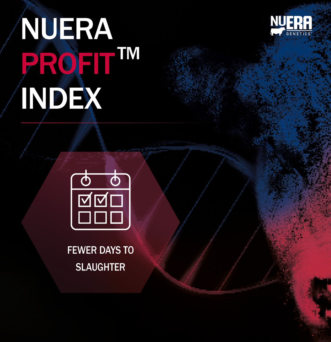 GenusABS's tweet photo. 🤔Did you know?
➡️Our Beef InFocus™ Profit Max progeny are more SUSTAINABLE compared to standard Sires. They reach slaughter weight 4️⃣0️⃣ days sooner, consume 1️⃣0️⃣% less feed, are 1️⃣1️⃣% more carbon efficient per KG of live weight gain.
#BeefInFocus #COP26 https://t.co/ACJGFAq3FM