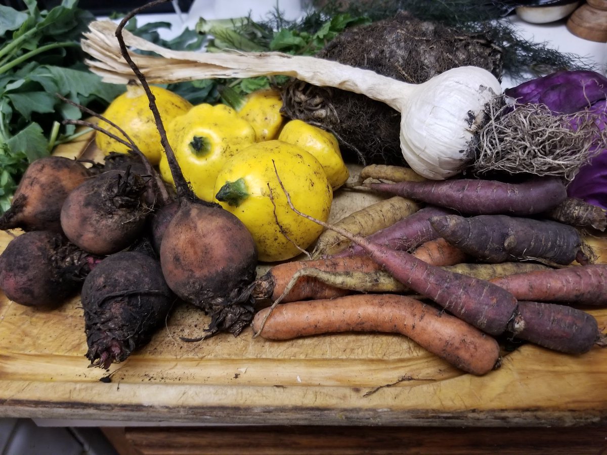BeWildWoman's tweet photo. Enjoy the harvest of the season.  Its #worldveganday. 

Breathe in breathe out &amp; enjoy your vegetables.  🥒 🥬 🥦 🍆 🥔 🥕 

Eat locally, seasonally and enjoy foods that nurture your body and delight your senses.

💓  Kiana

#bewildwoman #natureheals #rewild #healthy #vegan https://t.co/XMQ1tNF7ZL