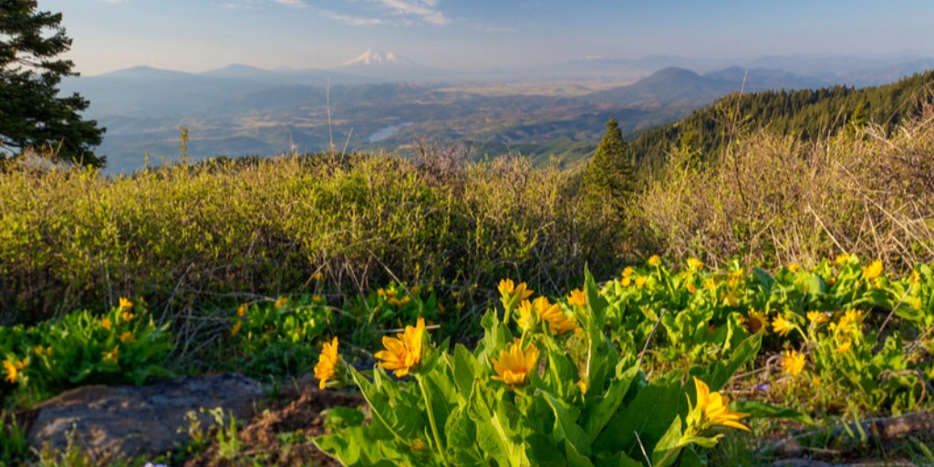 usgs_climate's tweet photo. APPLY NOW for the new CASC "Climate Adaptation Scientists of Tomorrow Program"! Geared towards rising sophomores & juniors, the program seeks to cultivate a diverse, next generation of #ClimateScientists. ๐https://t.co/2X7jONZ9lQ
#DiversityInSTEM #ClimateTraining https://t.co/y9sYG8IQfa
