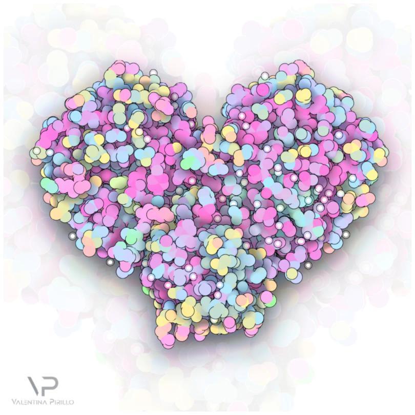 proteinimaging's tweet photo. Since the beginning of the pandemic, more than 380 #mainprotease structures have been deposited on the PDB @rcsbPDB!🤯 This cotton candy one was rendered by @valentina_VP17  with #ProteinImager https://t.co/ZAsktxCWm2
#structuralbiology https://t.co/81bqEEanTw
