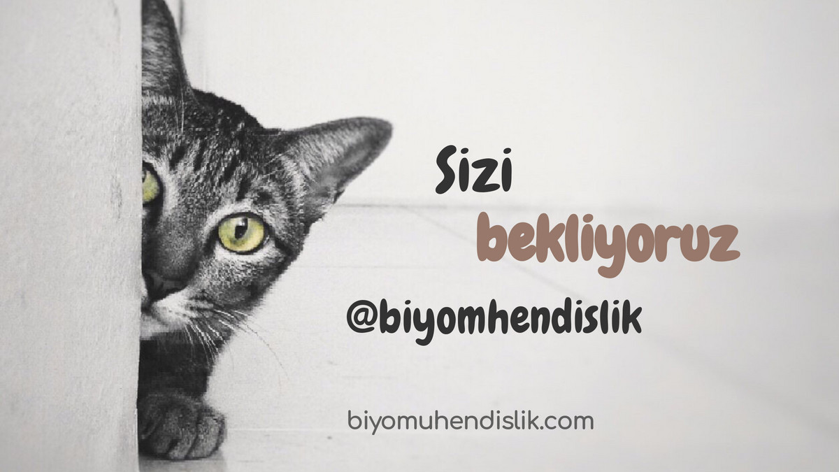 Türkiye'nin ilk #biyomühendislik adresinin twitter sayfasını arkadaşlarınızla paylaşırsanız seviniriz.  

<a href="/biyomhendislik/">Biyomühendislik</a>