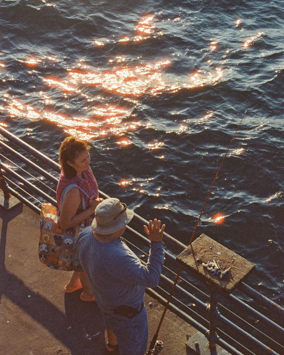 brianchorski's tweet photo. santa monica pier on cinestill 800t https://t.co/5urGt5zZS0