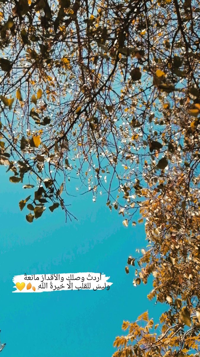 أردتُ وصلك والأقدارُ مانعةٌ
وليسَ للقلبِ إلَّا خيرةُ اللّٰهِ 🧡🍂