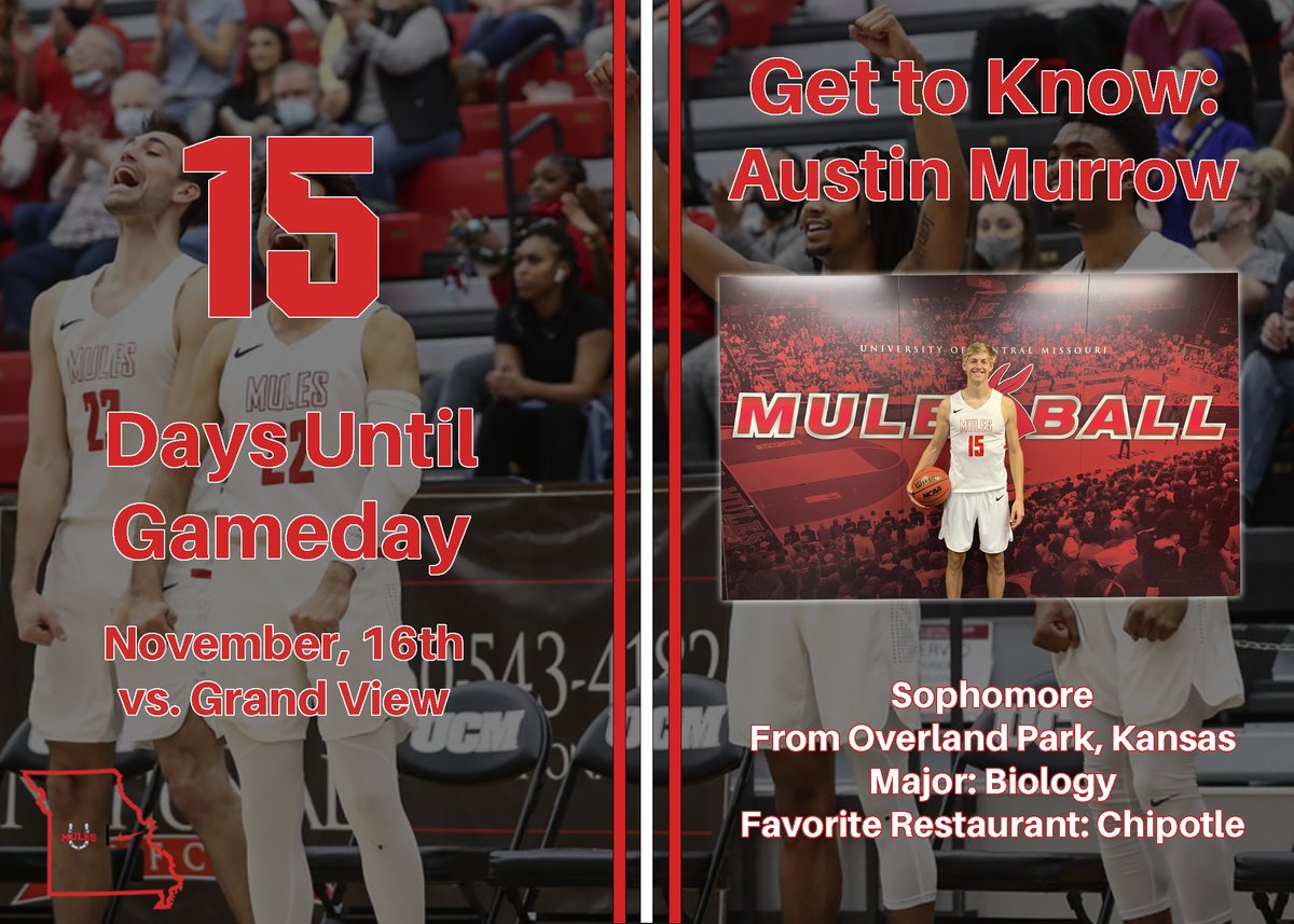 Mules Basketball tweet media