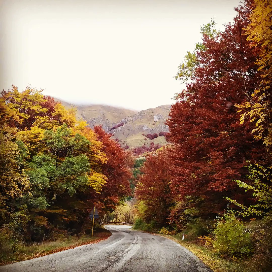 VanGengis's tweet photo. Colori di una bellezza unica.
#Assergi #Laquila #ponte #primonovembre https://t.co/WxLNY2RPCb