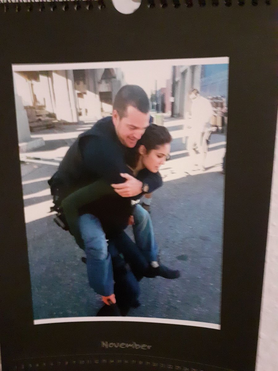 NAFO_Sandra's tweet photo. Hello November #ChrisODonnell #GrishaCallen #LLCoolJ #SamHanna #CalebCastille #DevinRoundtree #DanielaRuah #KensiBlye #NCISLA https://t.co/oPTHSZilse