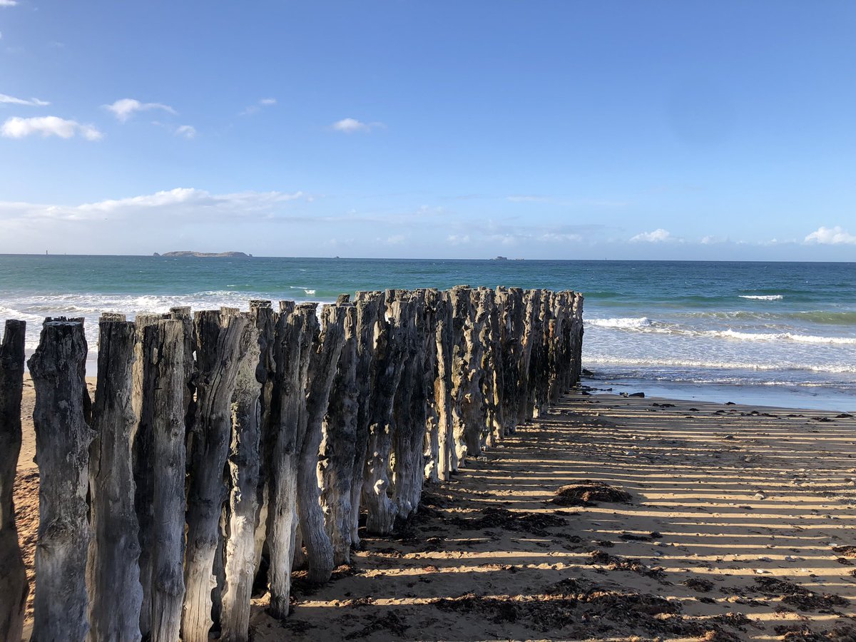 Aliénor Rouffet tweet media