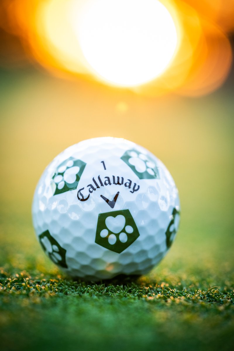 Callaway Golf (@callawaygolf) on Twitter photo The upcoming Limited Edition Chrome Soft Dog Paw Truvis showcases Puppies & Golf, a nonprofit founded by our friend <a href="/Amanda_Balionis/">Amanda Balionis</a> that protects and advocates for dogs in need of companionship. . 🐾⛳️
Set your alarm for 11:30 a.m. ET on Tuesday (11/2). 👀 The upcoming Limited Edition Chrome Soft Dog Paw Truvis showcases Puppies & Golf, a nonprofit founded by our friend <a href="/Amanda_Balionis/">Amanda Balionis</a> that protects and advocates for dogs in need of companionship. . 🐾⛳️
Set your alarm for 11:30 a.m. ET on Tuesday (11/2). 👀