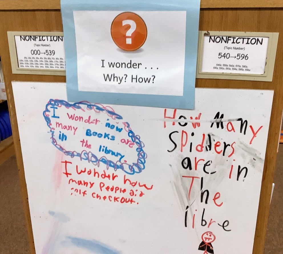 PrimroseLibrary's tweet photo. How many spiders are in the library? I don't want to know! #kidquestions https://t.co/pzZnxmMwRP