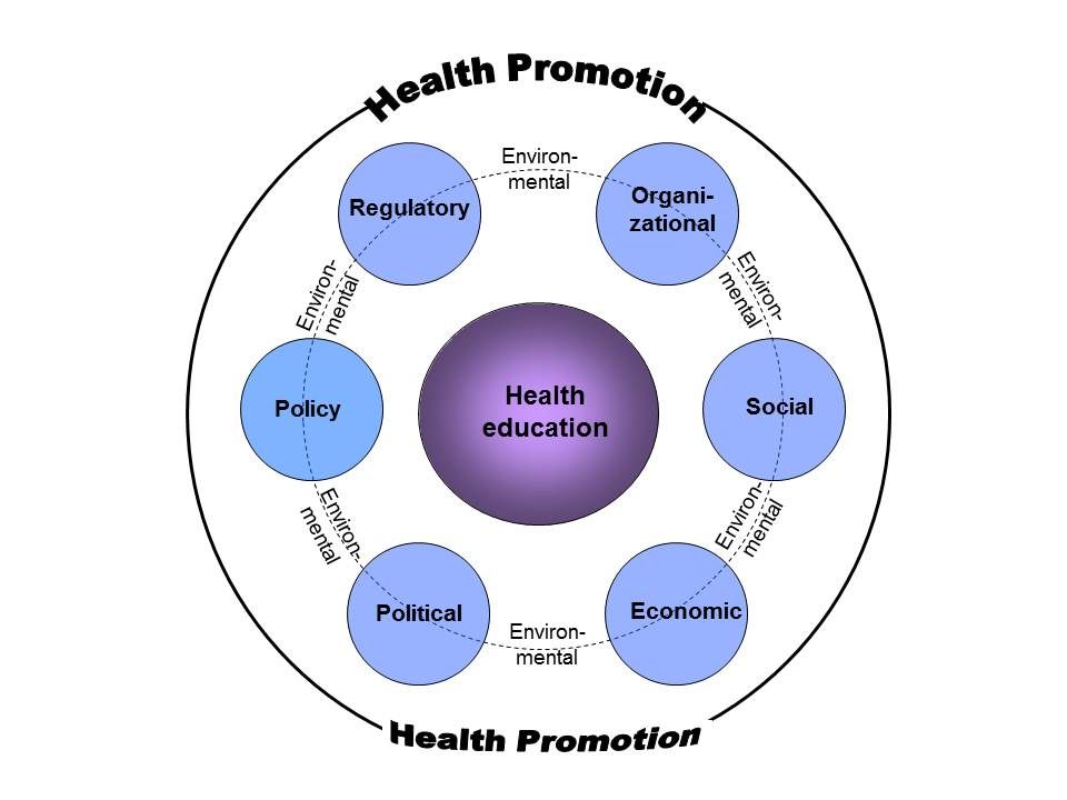 linseysykess's tweet photo. #hlthed @Health311 https://t.co/PSj7TIzdcP