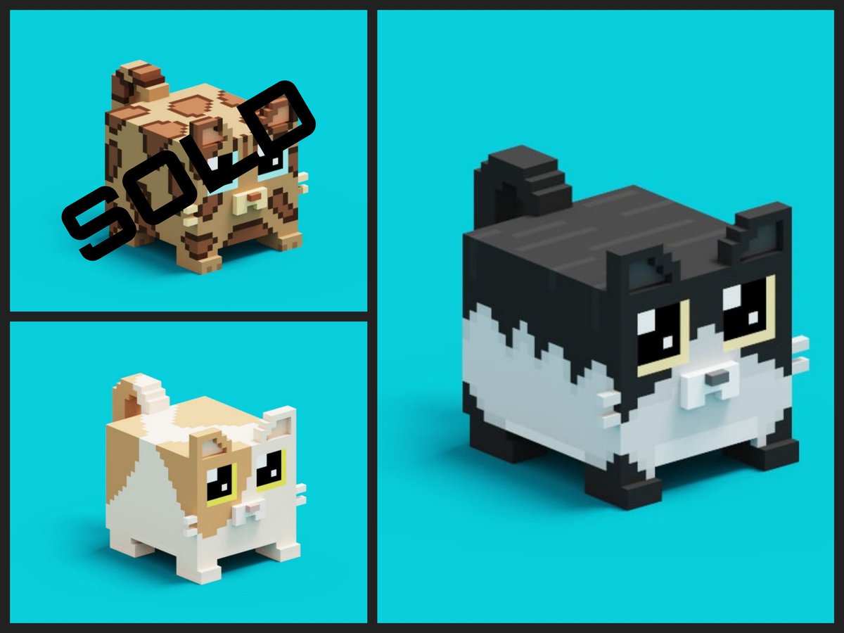 In 10 minutes, 1 of my nft(kitty #12) sold out in <a href="/RealEmpireToken/">Empire Token</a>
Kitty #
Thank you For your continuous Support and Love❤️

#NFTCommunity #nft #nftcollector #nftart #nftcollectibles #nftdrop