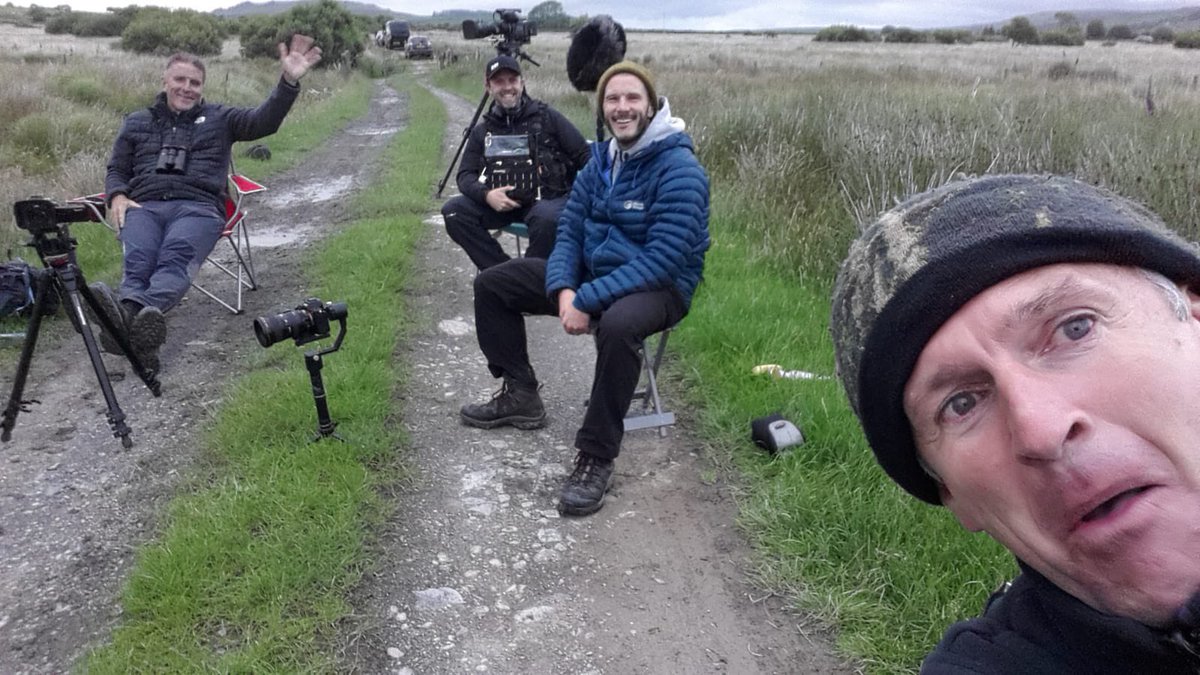 Iolo Williams tweet media