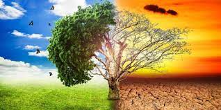 BilkisShapla's tweet photo. Global warming is the rise of average global temperature on the surface of the earth. It has been recognized as a severe threat to the environment since the 1950s.
Click here> https://t.co/Mvqmpr2Igv

#instaclimatechange #instaclimate #globalwarming #climatechange #climate . https://t.co/pI2OF9ebpG