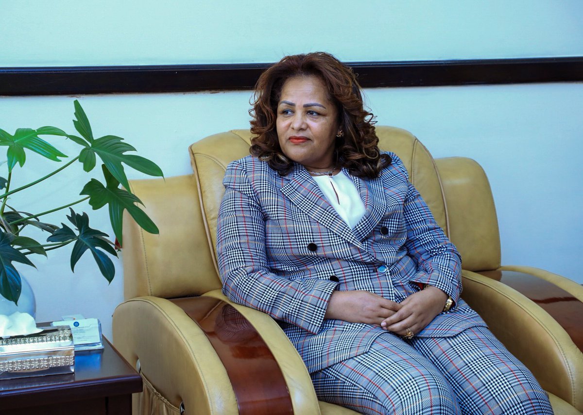 The Ministry of Foreign Affairs of #Ethiopia 🇪🇹 (@mfaethiopia) on Twitter photo State Minister H.E. Ambassador <a href="/birtukanayano/">Ambassador Birtukan Ayano</a> had a meeting today with UNICEF Regional Director for Eastern and Southern Africa, H.E. <a href="/MohamedFall/">Mohamed M. M. Fall</a>. The two sides have exchanged views on the appointment of a new UNICEF country representative and other bilateral issues. State Minister H.E. Ambassador <a href="/birtukanayano/">Ambassador Birtukan Ayano</a> had a meeting today with UNICEF Regional Director for Eastern and Southern Africa, H.E. <a href="/MohamedFall/">Mohamed M. M. Fall</a>. The two sides have exchanged views on the appointment of a new UNICEF country representative and other bilateral issues.