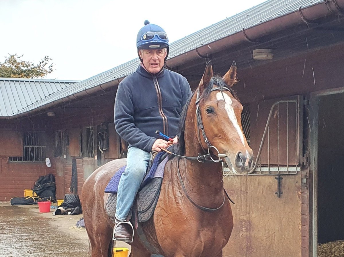 DerbysRacing's tweet photo. Welcome to @DerbysRacing`s latest exciting recruit - the 4 yr old bay filly VIVENCY, in training with John Mackie. By Juddmonte stallion Noble Mission (Frankel full brother) & out of Juddmonte mare Hint of Joy - details on next post... #derbyshireracing #johnmackieracing #vivency https://t.co/JnfYz96JFC
