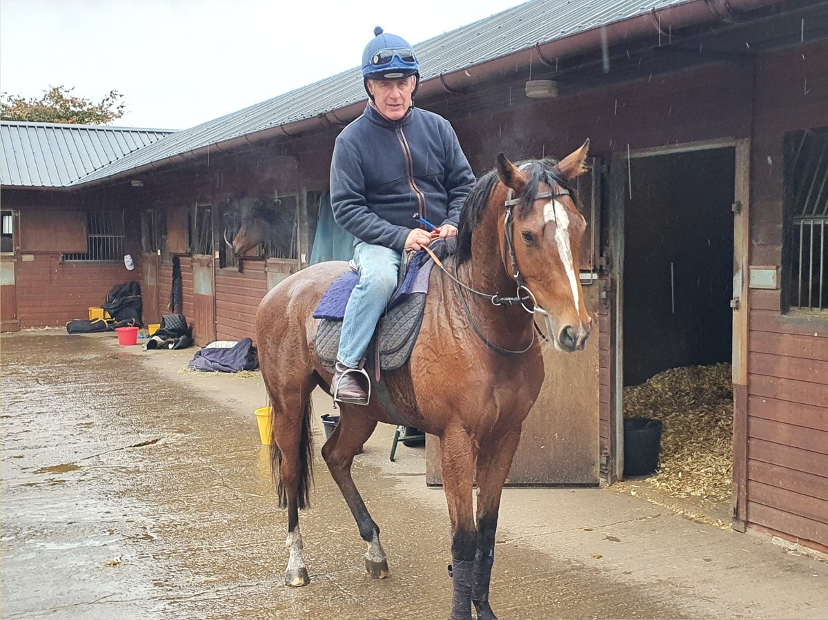DerbysRacing's tweet photo. Welcome to @DerbysRacing`s latest exciting recruit - the 4 yr old bay filly VIVENCY, in training with John Mackie. By Juddmonte stallion Noble Mission (Frankel full brother) & out of Juddmonte mare Hint of Joy - details on next post... #derbyshireracing #johnmackieracing #vivency https://t.co/JnfYz96JFC