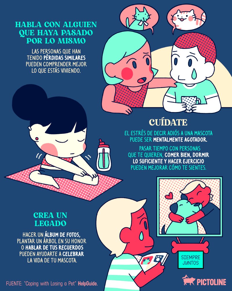pictoline's tweet photo. Perder a una mascota es difícil 🐱🐶🦜🐹💔
Estos son 5 consejos que pueden ayudarte a sobrellevar la situación: https://t.co/XttoakvzRX