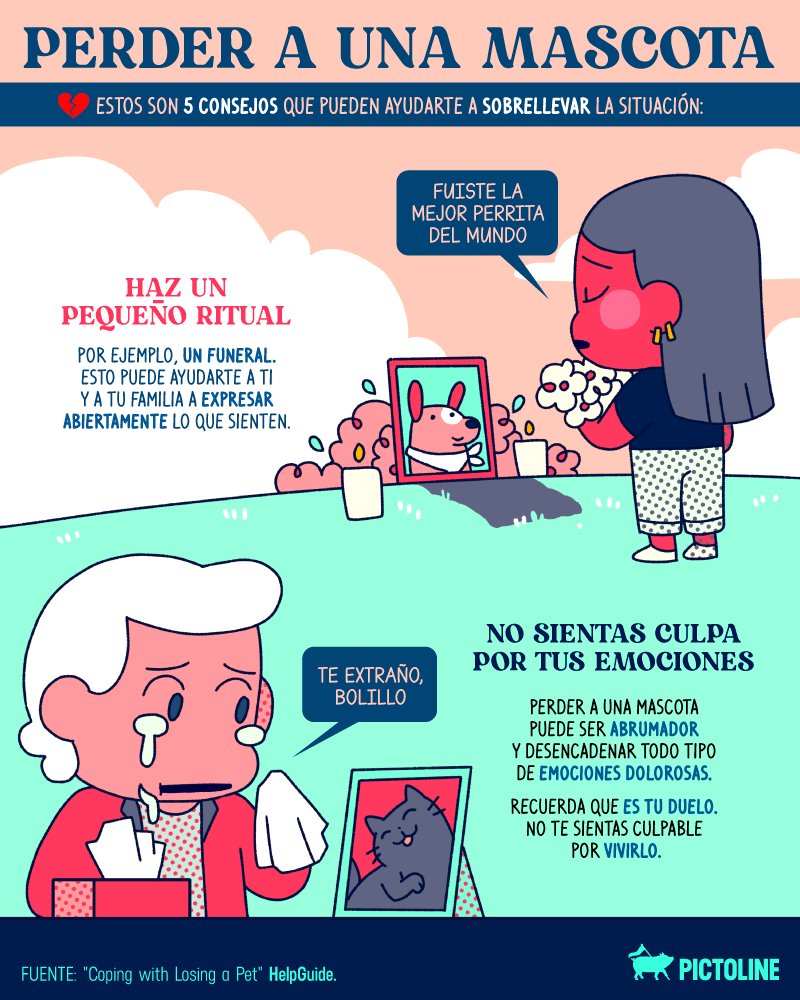 pictoline's tweet photo. Perder a una mascota es difícil 🐱🐶🦜🐹💔
Estos son 5 consejos que pueden ayudarte a sobrellevar la situación: https://t.co/XttoakvzRX