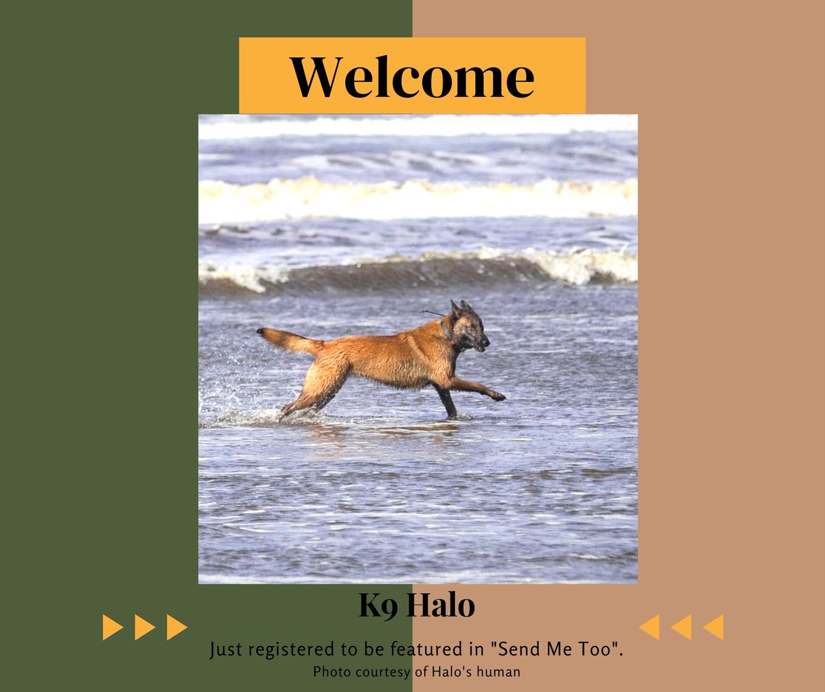 A warm welcome to K9 Halo, who has registered to be featured in "Send Me Too"! 

Would you like YOUR working dog featured in "Send Me Too"? Registration is open to all working dogs of the Pacific Northwest. 

hollyccook.com/send-me-too.ht…
 
Photo: Halo's family.
<a href="/roguedetection/">Rogue Detection Teams</a>