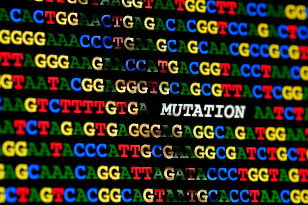 GeneseeqInc's tweet photo. Geneseeq and collaborators published a study on the genomic landscape of metastatic lung adenocarcinomas from clinical sequencing data of over 6000 samples!
#CancerResearch
https://t.co/iJUCuoyLLY https://t.co/1T8lxLYvAO