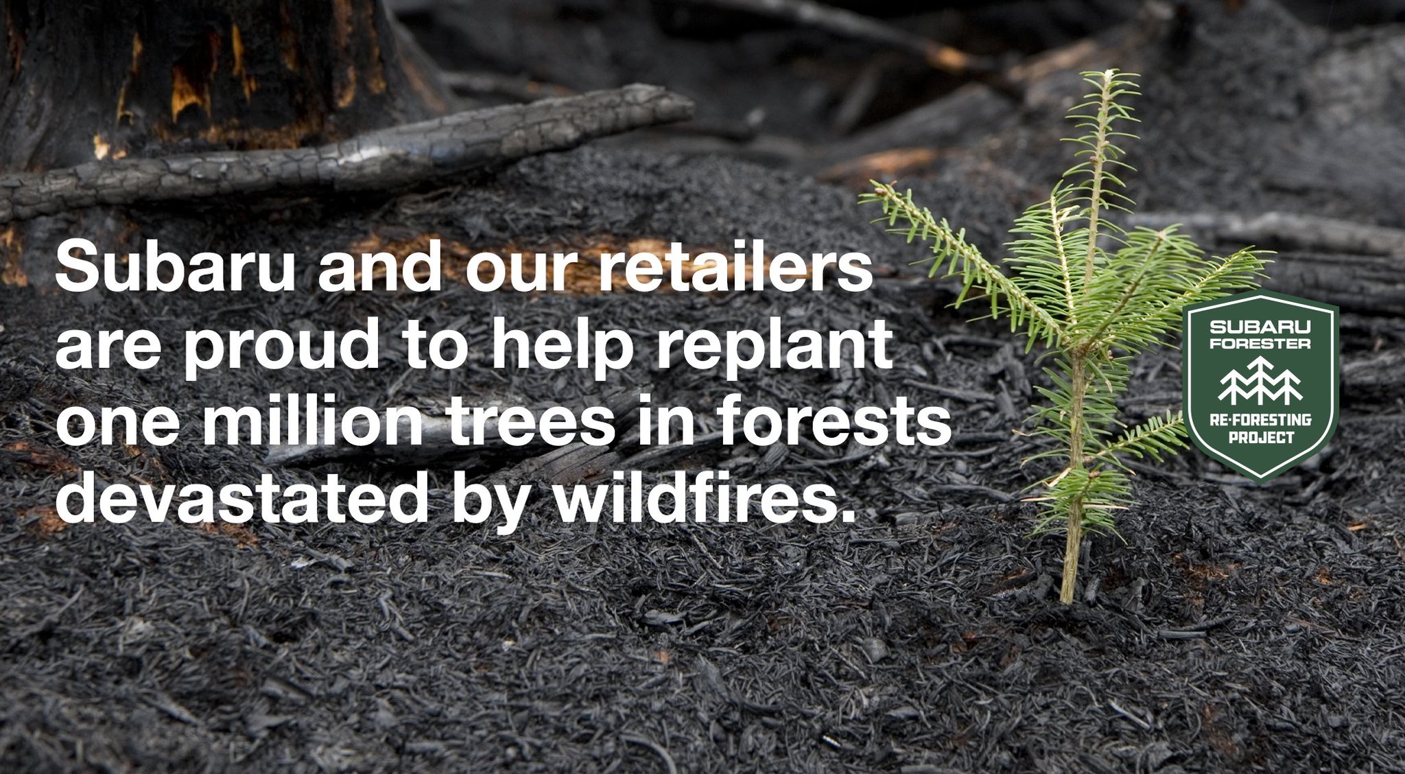 Subaru on Twitter "Wildfires have reached historic levels. As part of