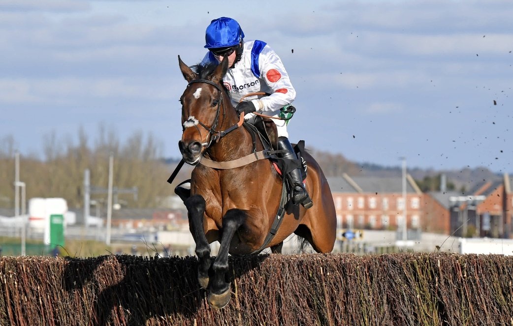 racingblogger's tweet image. 😍 If HITMAN wins the Haldon Gold Cup at Exeter tomorrow I'll give £50 CASH to one of you! 💷

To enter:

1️⃣ RT this tweet
2️⃣ Follow @racingblogger

🏆 Good Luck! #Competition 💫