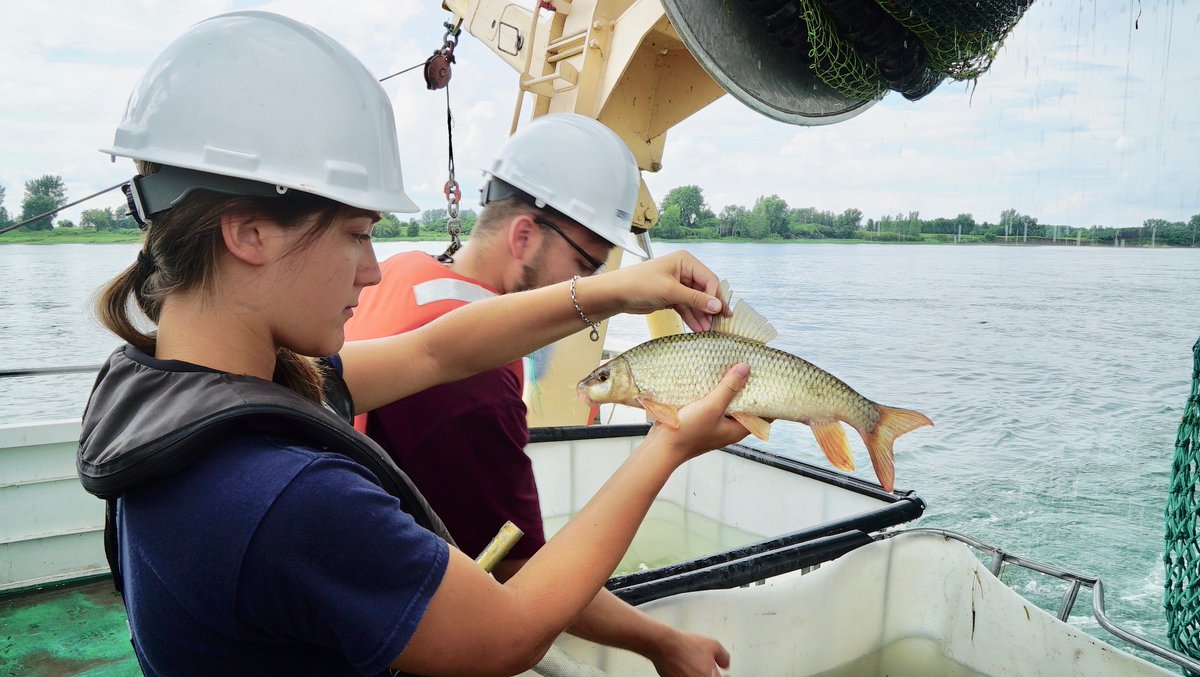 Bourses en #écotoxicologie disponibles pour de nouveaux projets de #MSc et de #PhD dans notre labo! 🔎🌱
Partagez!
Voir notre site web :  marcamyotlab.com/fr/opportunite… 

<a href="/GRIL_Limnologie/">GRIL</a> <a href="/_aecbum/">Biologistes-chercheur.es de l'UdeM</a> @ecoto_q